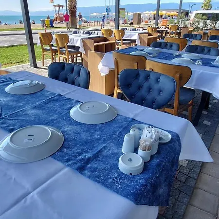 Blue Port 3*